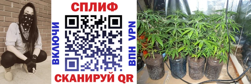 Марихуана план blacksprut как войти Тетюши где продают наркотики